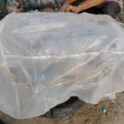 مكينة كامري من2012__2017