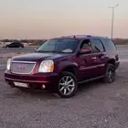 دينالي 2011