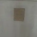 شد شاص عروق الشمال للبيع