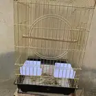 للبيع قفص ببغاء باقي نضيف