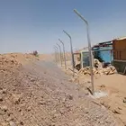 شبوك وسياج