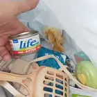 قطط اكل ومستلزمات كاملة