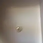 لولو حجم كبير نادر