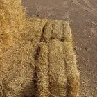 تبن بر عود ناعم