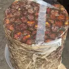 تمر كعيمر العيص فاخر درجة اولى