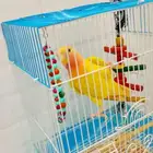 طير روز أليف يطلع على اليد وهدد داخلي ونشبه يحب العب
