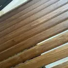 بارتشن جميل