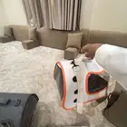 بيت للقطط