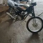 بلجرشي