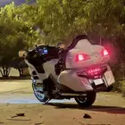 هوندا goldwing