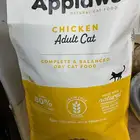 اكل قطط قطط