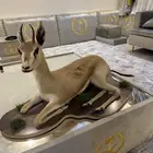 غزال محنط