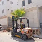 رافعة شوكيه للإيجار المدينة المنورة