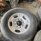 جنوت وانيت 8 بلوط