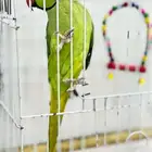 دره اليف جدا