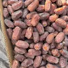 تمر خضري للبيع