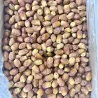 تمر لبانة للبيع