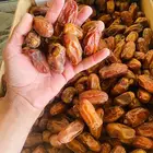 تمر صفري بيشة