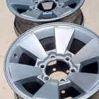 للبيع جنوط