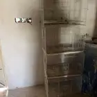 اقفاص عصافير