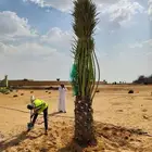 مدينت شقرا
