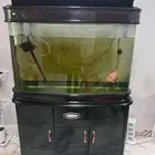 big fish tank for sale- sar 600