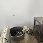 اغراض محل وعدد 2 ثلاجه وطاولات حدمه استيل