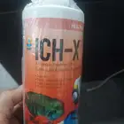 لاسماك الزينة ICH--X علاج البقع البيضاء و غيرها موضح..