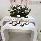 ستاند تنسيق مواليد