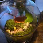 تيراريوم هدية نباتات طبيعية بلمسة فنية مع نجفة شغل يدوي