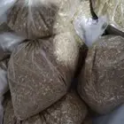برسيم (جت قطيفي)