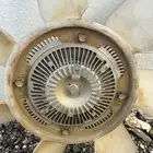 تماتيك ددسن