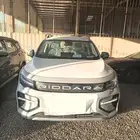 جيلي ريدارا استندار