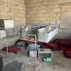 بطارية ارانب قويه
