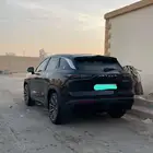 جيتور داشينج 2024