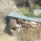 للبيع خلايا نحل بلدي القديمة