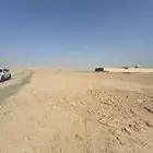 أرض 453 متر مخطط 3096 عريض طبيعه كف سليمه