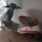 دباب صيني بطه للبيع