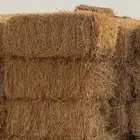 بلوبنك وتبن بر ومخلوط