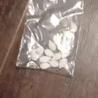بذور قرع عسلي