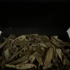 عود