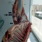 ضاحيه لبن شارع نجد