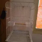 قفص كاسكو للبيع