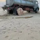حصنيه موديل 81 قطريه