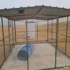 شبك حيوانات