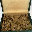 عود مروكي محسن يجمل على الشرط