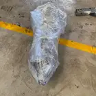 مكينة جمس يوكن تاهو 2011 2014 2017