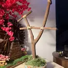 للبيع استاند للببغاوات