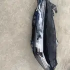 شمعه يسار شانجان ايدو