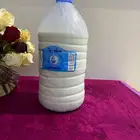 لبن معزا طازة